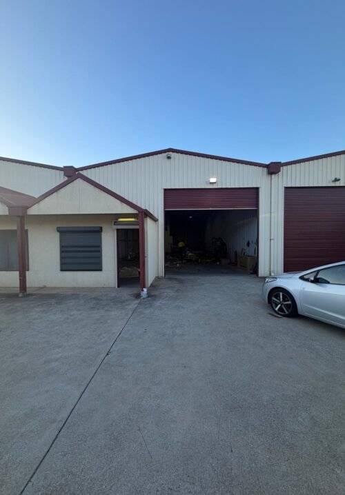 WhatsApp Image 2026-02-19 at 7.07.43 PM